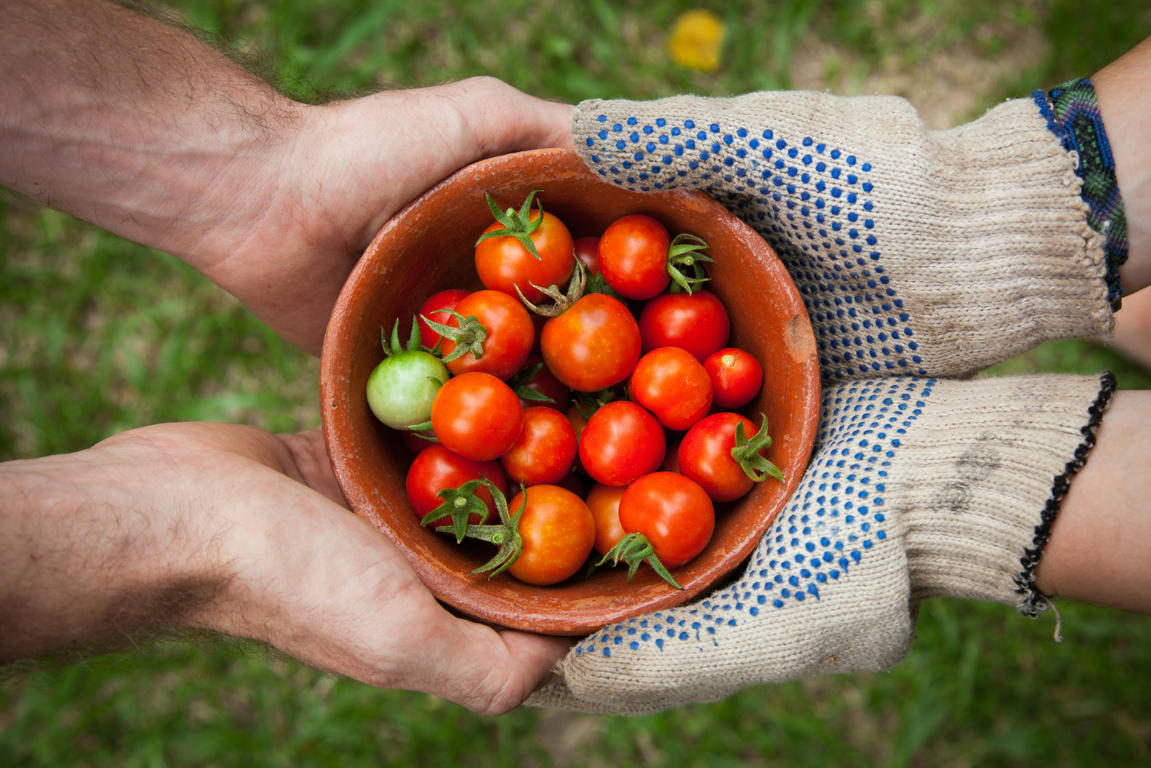 A farmer hands a bowl of fresh cherry tomatoes to a customer.